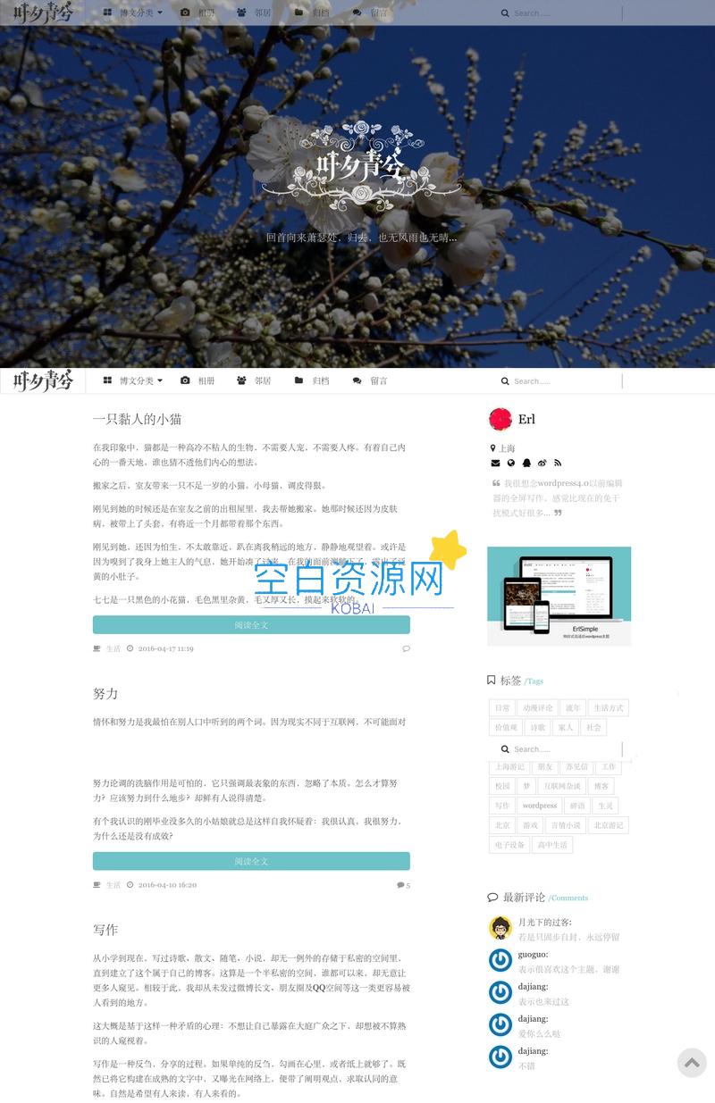 wordpress极简优秀的博客主题源码–ErlSimpleV1.5主题-泽客网